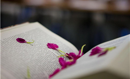 佩妮每周星座运势（1.26-2.1）