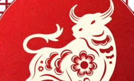 董易林生肖牛2026年2月运势