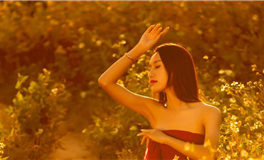 滴天居士生肖蛇2026年正月运势