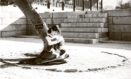 滴天居士生肖猴2026年正月运势