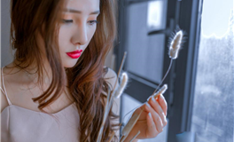 张鑫龙每日通盛+生肖运势 2026年3月29日