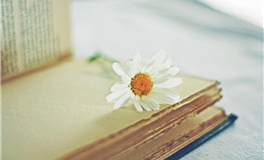 能做到一笑泯恩仇的三大星座