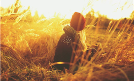 爱莎公主今日运势2026年4月27日