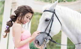 猫咪占星：双子座2026年4月运势解析