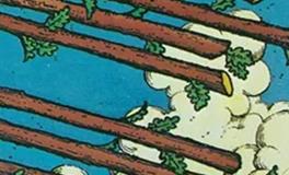 爱莎公主水瓶座一周塔罗运势（4.20-4.26）