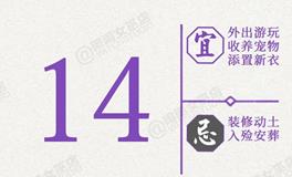 闹闹女巫店今日运势2026年8月14日